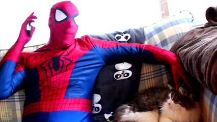 Spiderman vs Catwoman vs Batman in Real Life! Catwoman Kidnaps Batman - Fun Superhero Movie :)