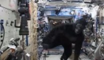 Uzayda goril şakası