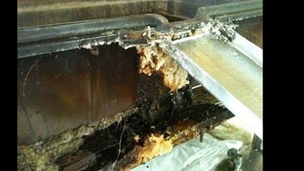 【閲覧注意】グロ！海外のビスケット工場の裏の実態がヤバすぎる…【衝撃注意】