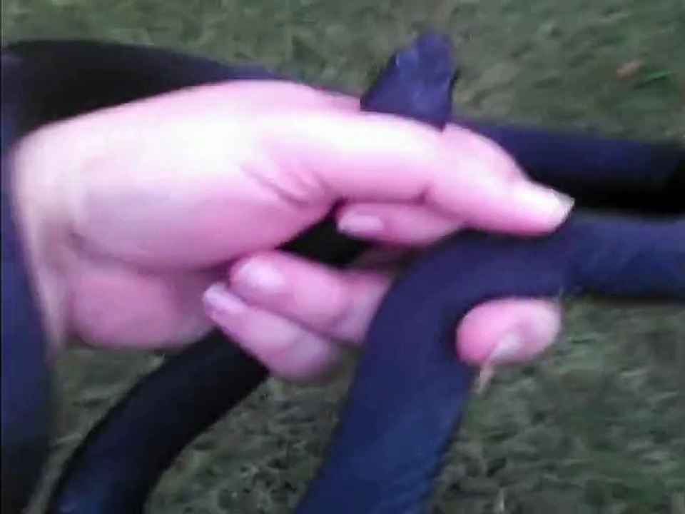 Woman Scares Husband With Huge Pet Snake