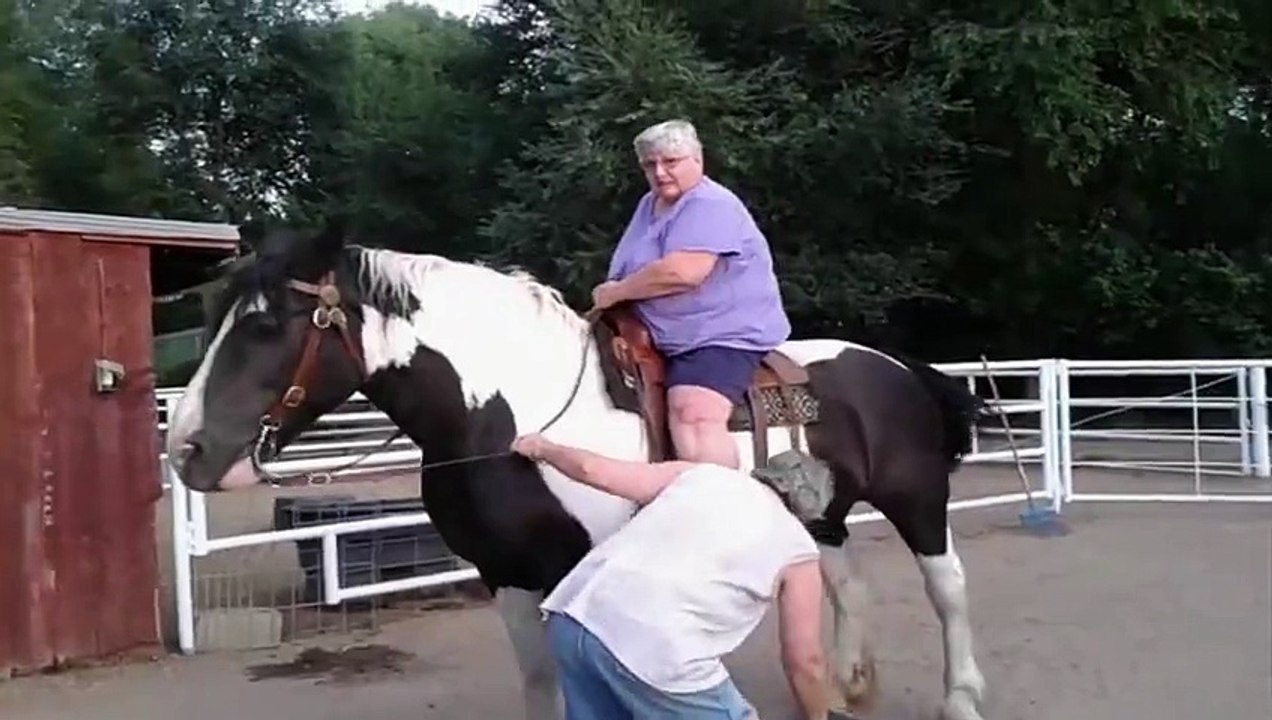Disgraceful Dismount