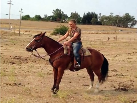 Tough Girl Gets Tossed From Horses Back