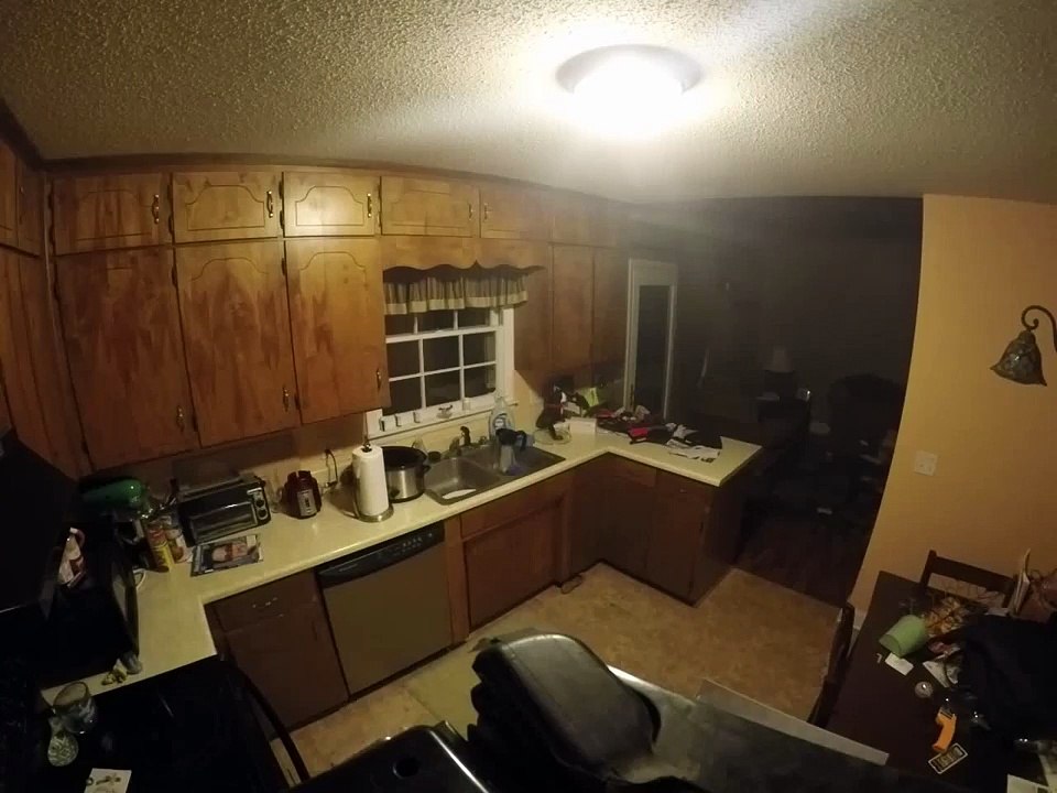 Fritz Clearing the Counter