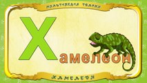 Мультіпедія тварин. Літера Х Хамелеон