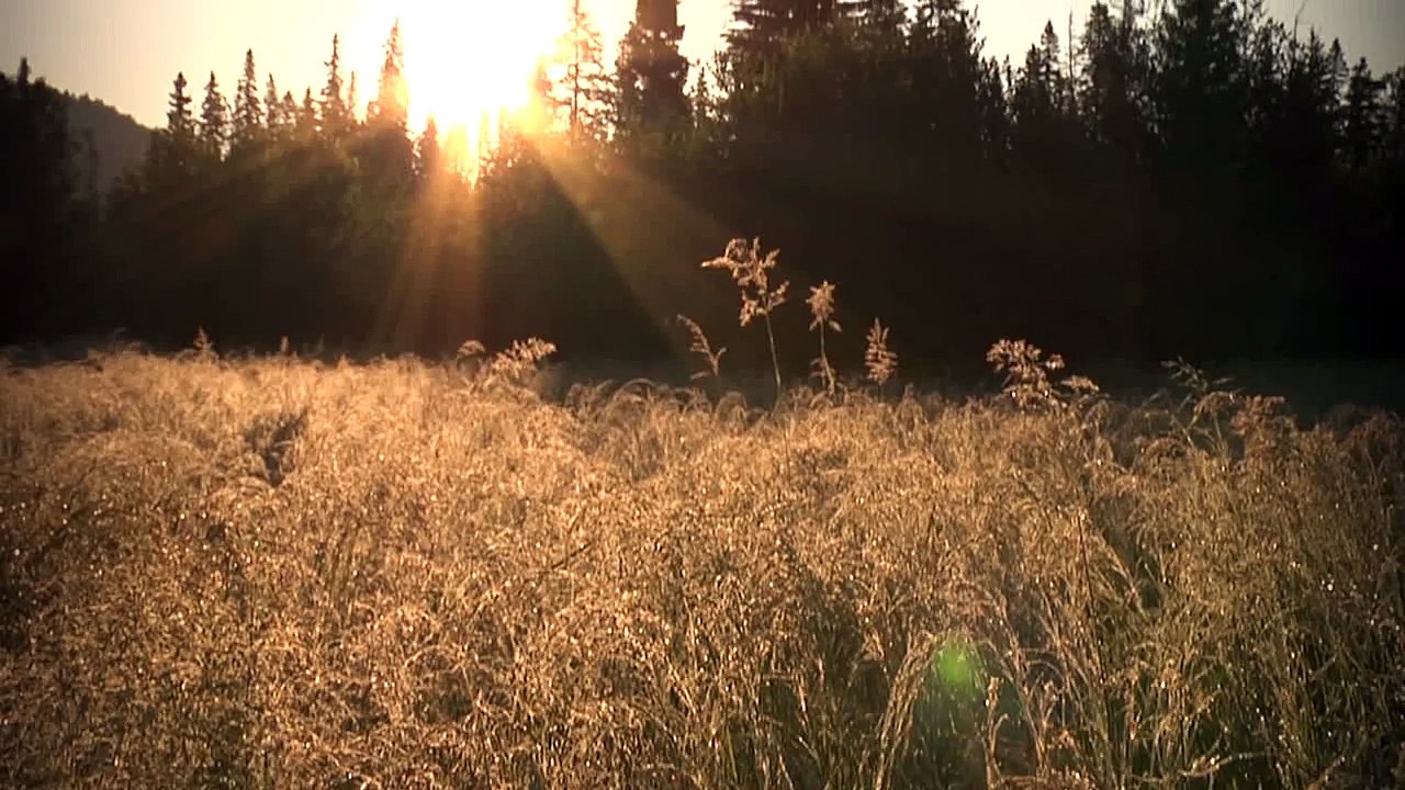 Sports Illustrated Swimsuit 2011_ Special Athletes Shoot