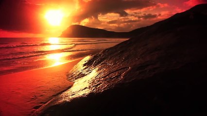 Swim Daily, Michelle Vawer Behind The Scenes