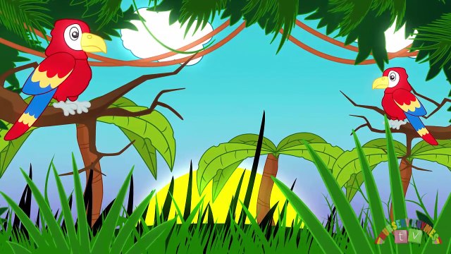 ANIMALS IN THE JUNGLE | Nursery Rhymes TV. Toddler | Kindergarten | Preschool Songs