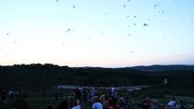 Frio River Bats emerge from their cave near Concan Texas!