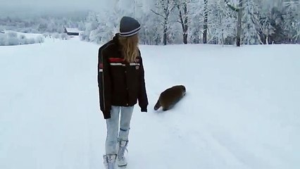 Ballade hivernale de Mr Nymous