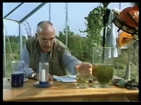 Mittendrin 10 in einem Gewächshaus Umweltmagazin mit Peter Lustig