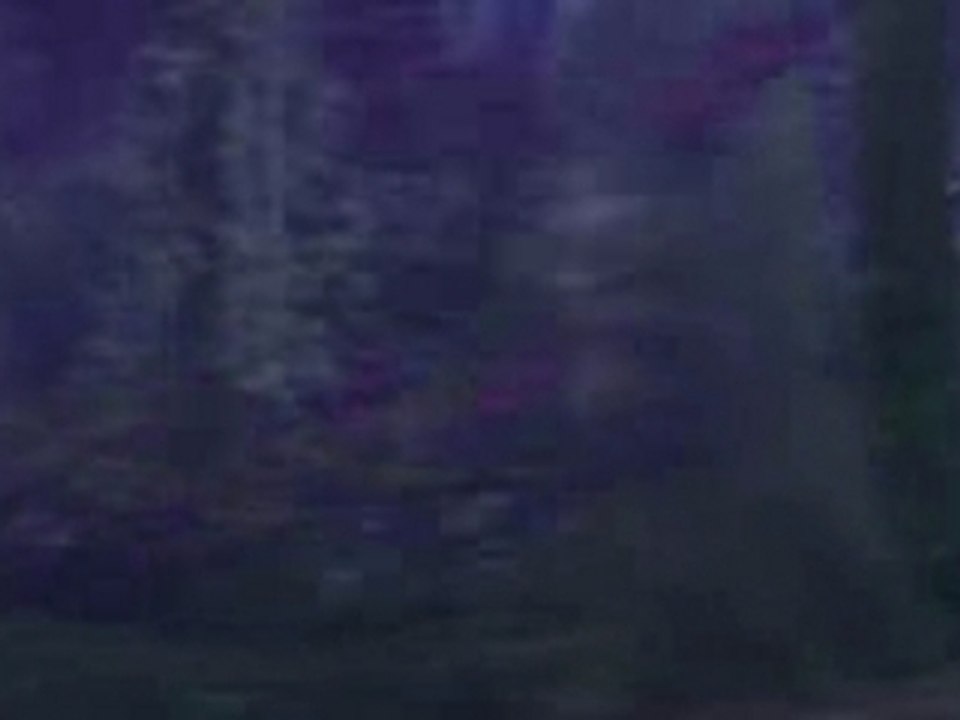 WoW Intro de World of warcraft