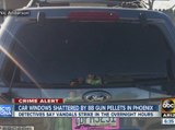 Car windows shattered by BB gun pellets in Phoenix