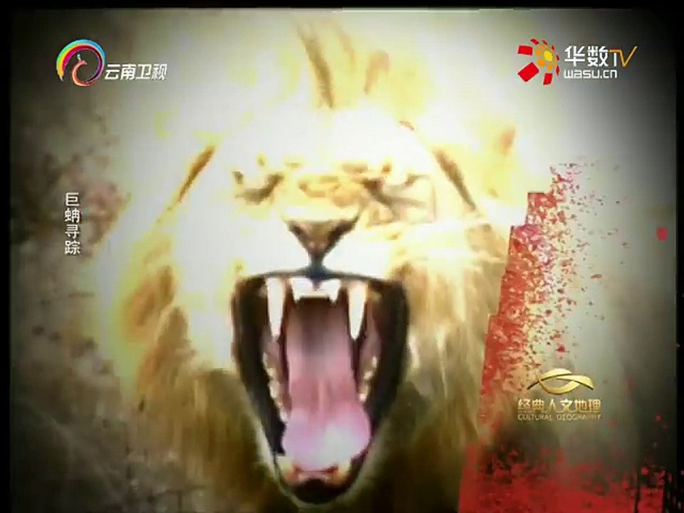 20160225 经典人文地理   巨蚺寻踪