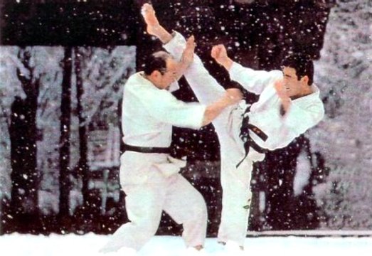 Mas Oyama Karate Kyokushin