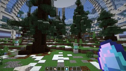 Minecraft | GETTING MARRIED AND HAVING KIDS!!