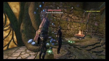 The Elder Scrolls Online: Tamriel Unlimited_2016 Aldmeri Queen is STACKED!!!