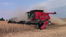 Case IH 9230 Tracked Combines Harvesting Soybeans
