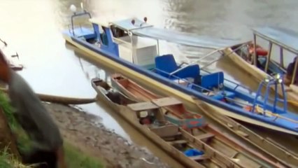 El descubrimiento de la vida salvaje cocodrilo ataca vida de las personas Nat Geo wild, documentales full HD - 2016