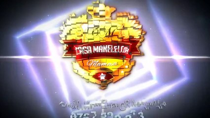 FLORIN SALAM - SANGE DE TAUR 2016 LIVE