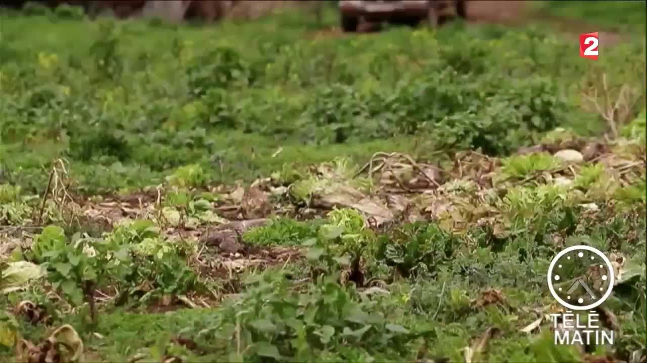 Environs - L’économie solidaire pour une agriculture durable - 2016/02/26