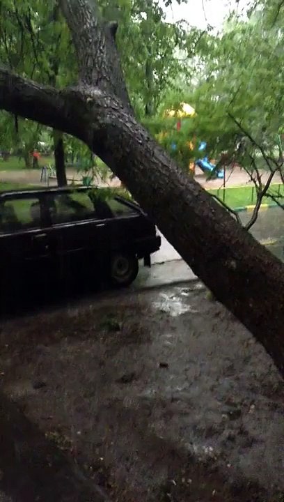 Чемпион я смеялся. Ржака 2016