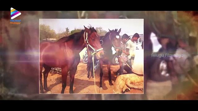 Sardar Gabbar Singh Telugu Movie | Unseen Working Stills | Pawan Kalyan | Telugu Filmnagar (FULL HD)