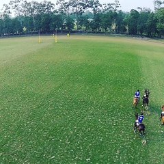 master paints V dimond paint