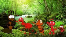 English Songs | Incredibles-Ants-Snoman-Mango Finger Family Cartoons | Childrens Song