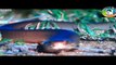 Giant Cobra attack Elephant King Cobra attack new snake videos latest animels videos upcoming videos HD animels videos top animels videos