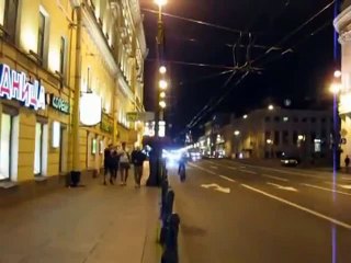 Horse and Dog Running Down Street