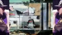 Céu Azul Charlie Brown Jr Vídeo Clipe Oficial] CD e DVD Música Popular Caiçara