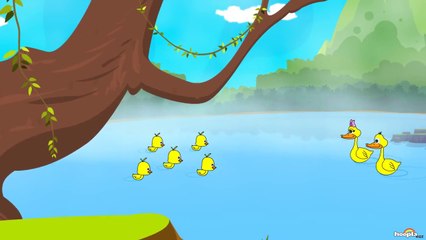 Five Little Ducks | Nursery Rhymes by Hooplakidz