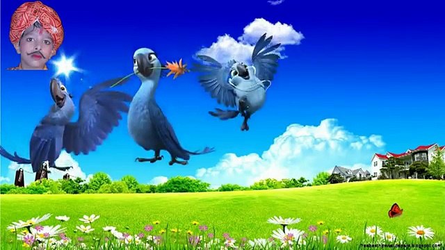 Videos for Kids | Tweety-Pororo- Onion-Rio Finger Family Cartoons | Animated Rhymes