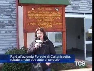 Raid all azienda Foreste di Caltanissetta. rubate anche due auto di servizio