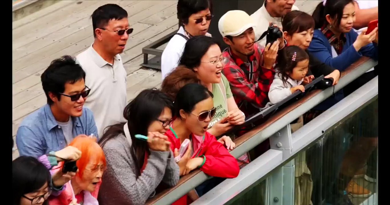 I know you know Bunzy jumping_ are you sure you know all of its kind_s _ have...