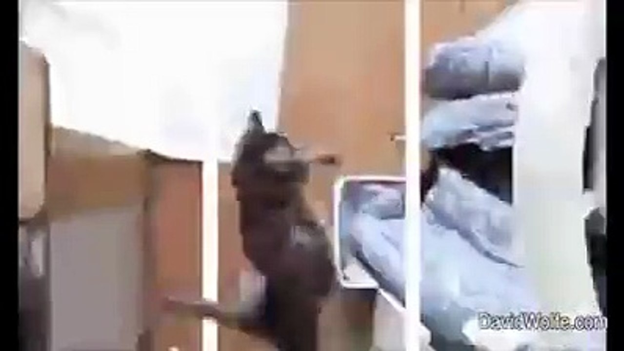That Funny