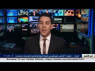 العاصمة   قرد يثير هلعا وسط سكان حي تيقصراين ببئر خادم