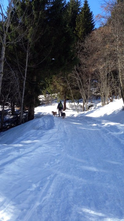 Les pépètes aux contamines !