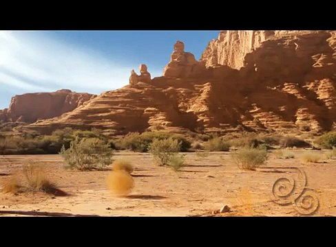 Cartoon Network Latin America - Cartoon Movement promo (Wile E. Coyote & Road Runner)