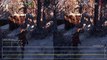 Rise of the Tomb Raider GTX 970 vs R9 390_1080p60 PC