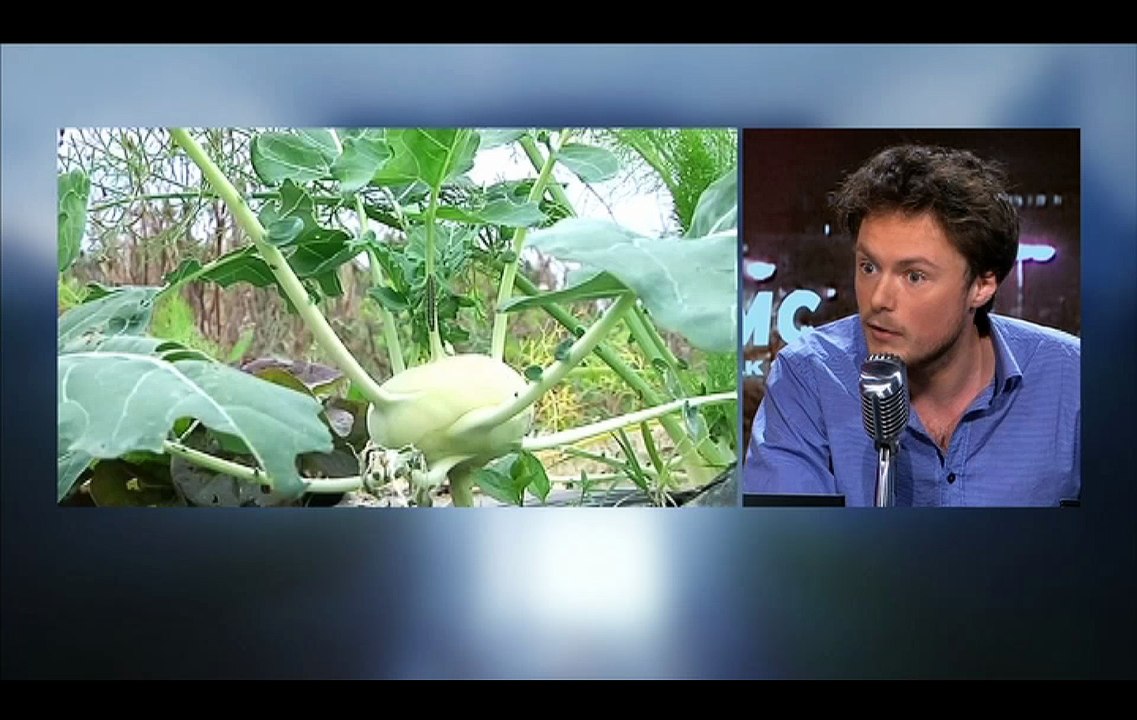 "Xavier Beulin, vous êtes, pieds et mains liés, du côté des industriels"