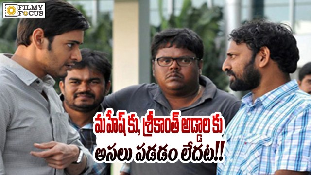 War Between Srikanth Addala & Mahesh Babu..!! - Filmy Focus