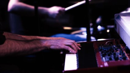 Arno « Dance Like a Goose » #Live à Fip