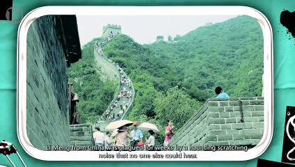 10 Animals Found Living Inside Humans