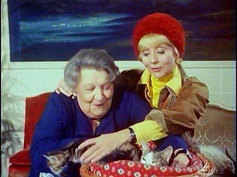 Madame S.O.S : Les Deux Pigeons