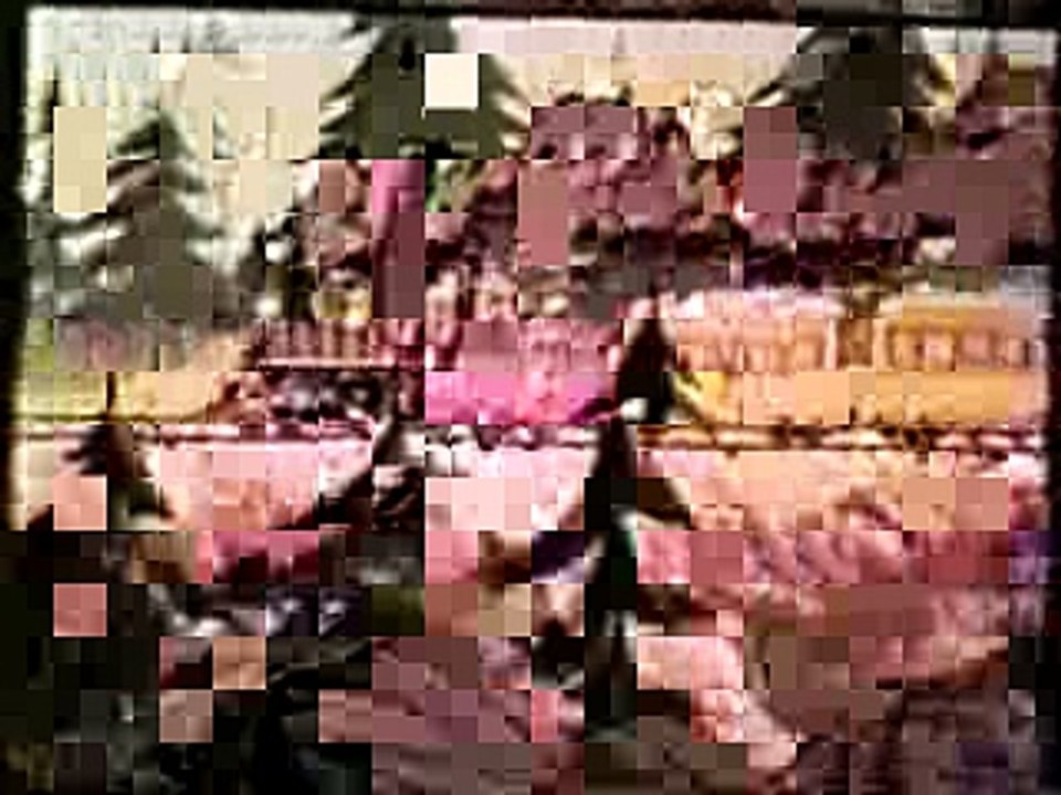 Kelloggs Sugar Pops Woody Woodpecker Commercial