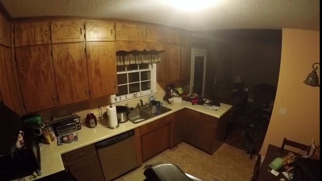 Cuando tu perro patina sobre tu cocina