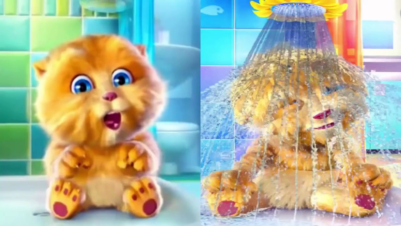 ABC song - Funny CaT