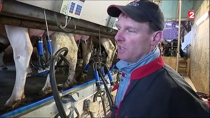 Salon de l'agriculture : l'heure des derniers préparatifs