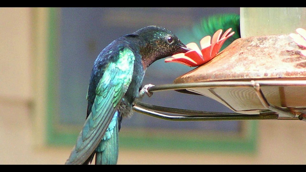 Reise TV vom 26. Februar 2016